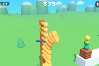 cool math slice master